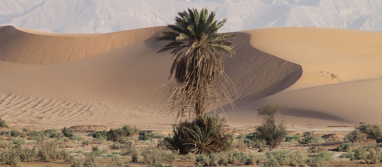 Intro Bild zum Zielort:  Aqaba
