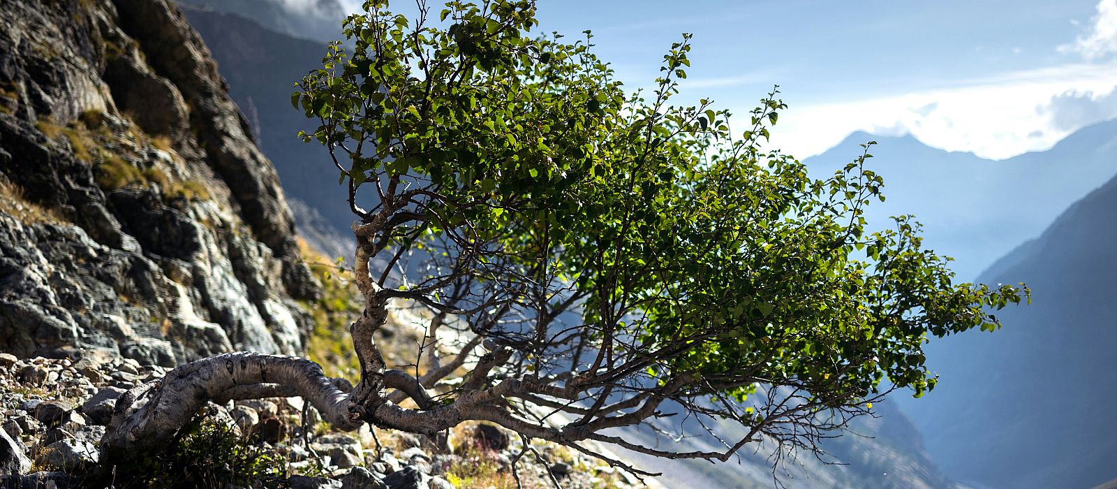 Intro Bild zum Zielort:  Gap