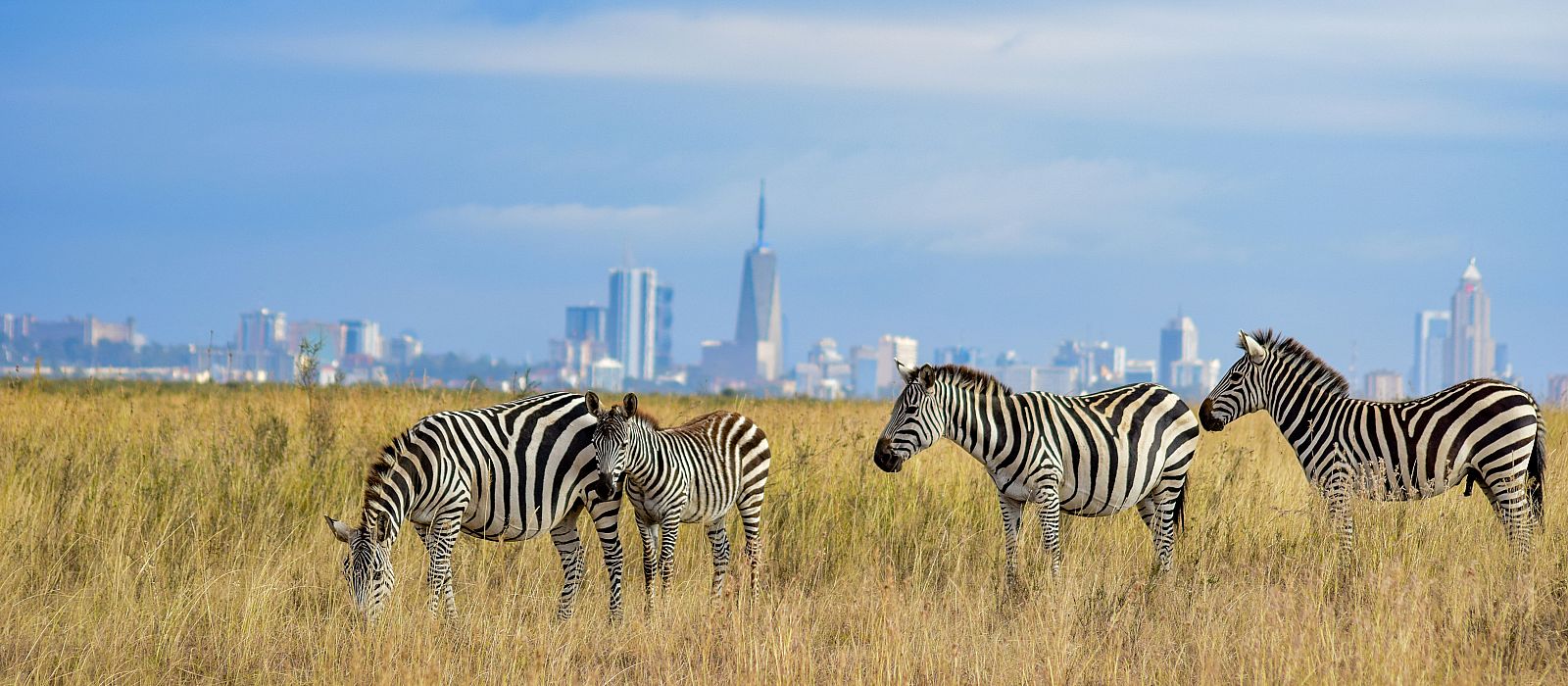 Intro Bild zum Zielort:  Nairobi
