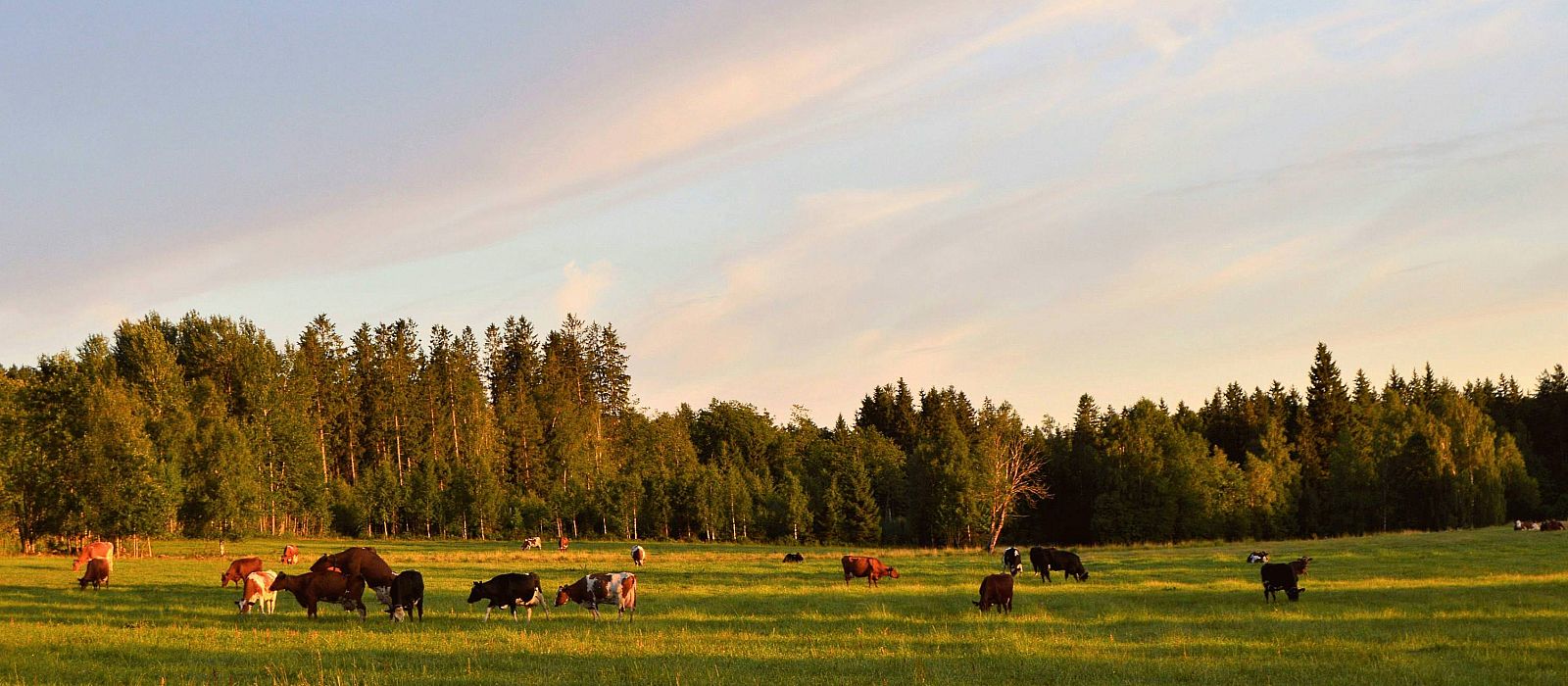 Intro Bild zum Zielort:  Nynüshamn