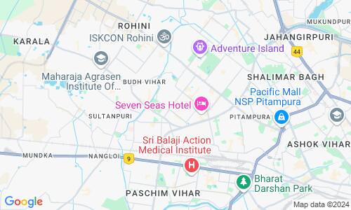 Ausschnitt der Weltkarte zu Delhi