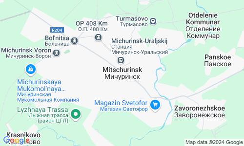 Ausschnitt der Weltkarte zu Mitschurinsk