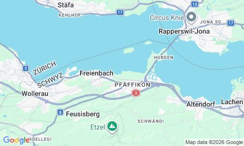 Ausschnitt der Weltkarte zu Strandbad Pfäffikon