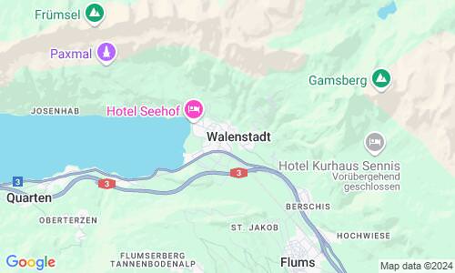 Ausschnit der Weltkarte zu Walenstadt