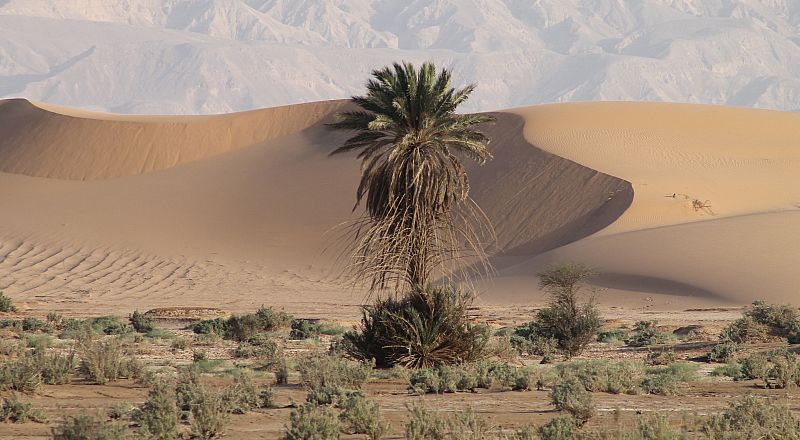 Aqaba Reiseziel Foto