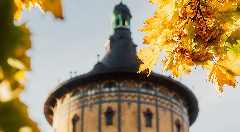 Halle Reiseziel Foto