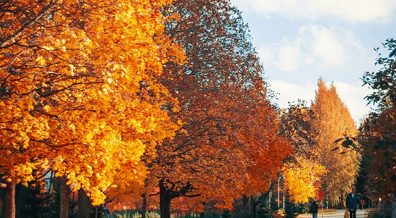 Lahti Reiseziel Foto