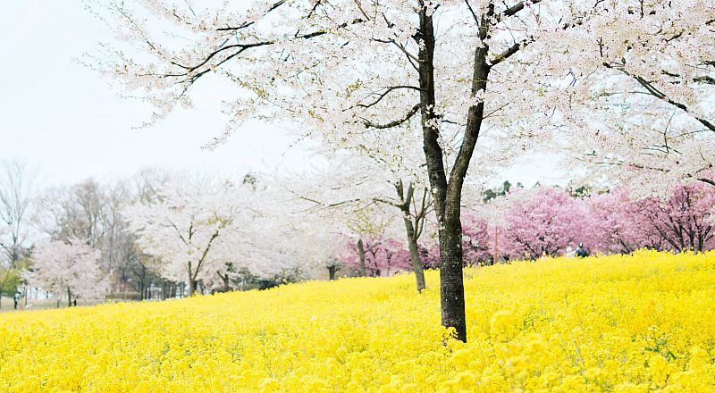 Maebashi Reiseziel Foto
