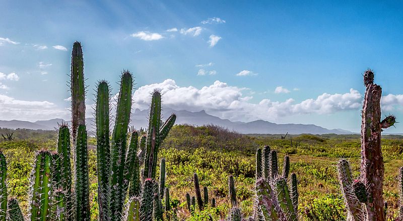 Maturín Reiseziel Foto