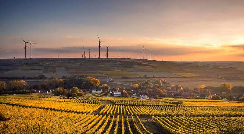 Molsheim Reiseziel Foto