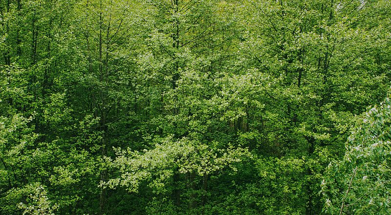 Montivilliers Reiseziel Foto