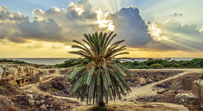 Paphos Reiseziel Foto
