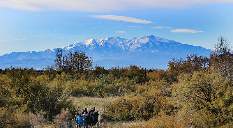 Perpignan Reiseziel Foto