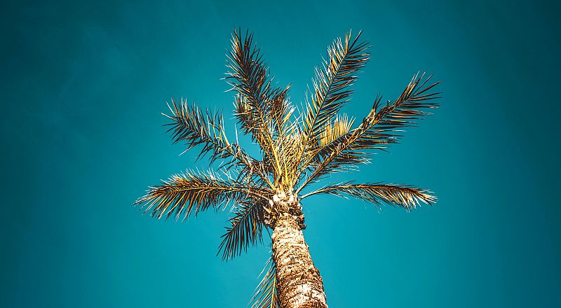 Salou Reiseziel Foto