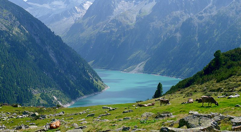 Zillertal Reiseziel Foto